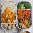 뭉치켄넬 이미지