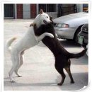 친구야반갑다 이미지