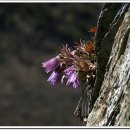 아름다운 약속 이미지