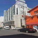 오동동100 이미지