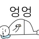 해피베이킹스
