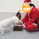 (주)아이지디 네이버블로그