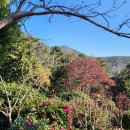 대신공원 매점 옆 이미지