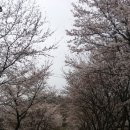 벌교 오충각 이미지