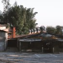 성림목장 이미지