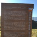 금척리 | [경주] 금척리고분군과 안동권씨열녀비각, 곡산한씨부자신도비