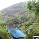 감나무집민박 이미지