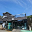 숲멍 | 가평 카페 숲인더그로브 엄마와 함께한 완벽한 숲멍 테라스 힐링 후기