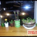 솔비공인중개사사무소 이미지