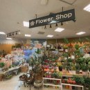 유림꽃화원 이미지