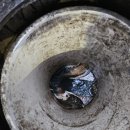 기산약국 | 영천하수구막힘 전문장비로 확실하게 뚫어드립니다