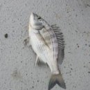 황제2공인중개사사무소 이미지