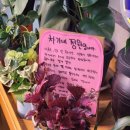 차가네정원