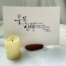(주)그린나래 이미지