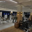 에프오 피트니스 이미지