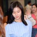 본능 스포츠조선