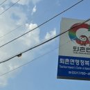 태전약국 | 2025 광주 퇴촌 토마토 거리 축제 일정 방문 후기