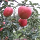 영근농장 이미지