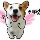 남이살롱 네이버블로그