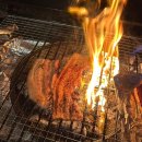 가평e펜션 | [가평 | 감성 힐링 숙소 ] - “B481 감성 펜션” 플랜트 벙커 객실 후기 / 커플 숙소 추천