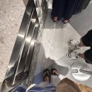 주차30 | 경산 스타필드 맛집 : 갓덴스시, 회전초밥, 주차, 가격 및 웨이팅 (30분 기다리고 먹어본 후기)