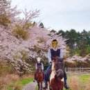 웅지승마센터 이미지