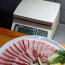 고래야,참치야! 이미지