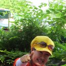 비래사약수터 이미지