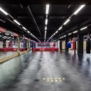 용인대 복싱클럽 이미지