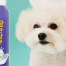 샴푸하개 네이버블로그