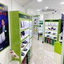 슈올즈 괴정점 이미지