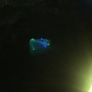 파라다이스D 이미지