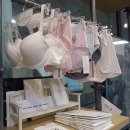 스토어36.5노원점