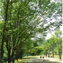 와라캠핑장 이미지