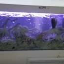 사강식당 이미지