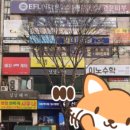 로얄보석사우나 이미지