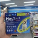 오렌지라임약국 이미지