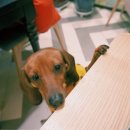 전포1동-9 이미지