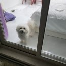 아쇼카 펜션 이미지