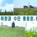 판문농장 이미지