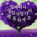 참농장 Daum카페