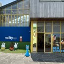 서쪽에서귤이네 | 제주 서쪽 소품샵 추천 미피에디션 | 귤귤스토어 애월점