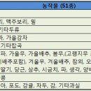 미곡태양광발전소 이미지