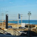 씨유 울진오션뷰점 | [울진] 오션뷰 카페 [카페 제니엘 울진 매화점]