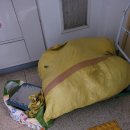 태봉신발