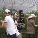 국제허브아카데미 이미지