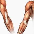 바른움직임 이미지