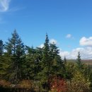 푸른정원 이미지