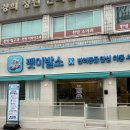 서울애견미용실 이미지