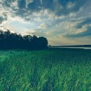 삼산골푸드 이미지